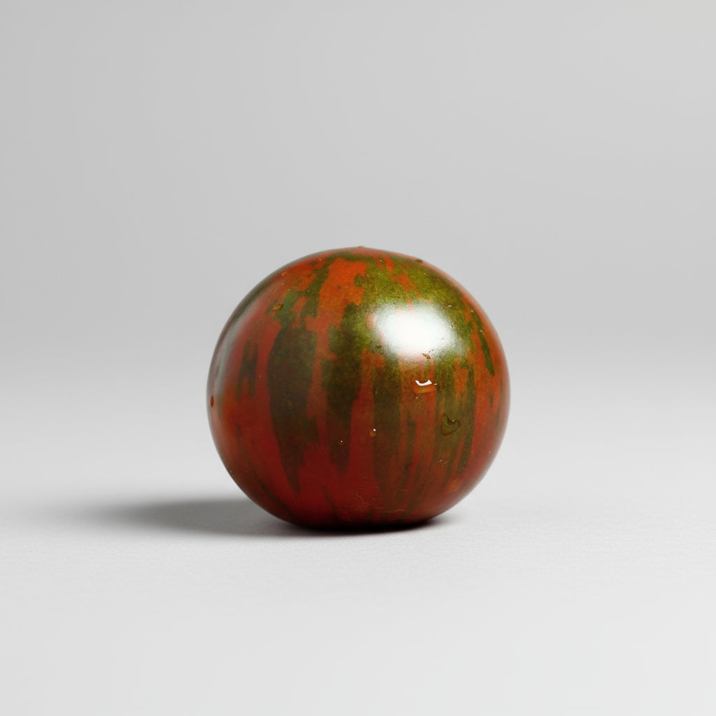 Tomato - Black Zebra (100mm pot)